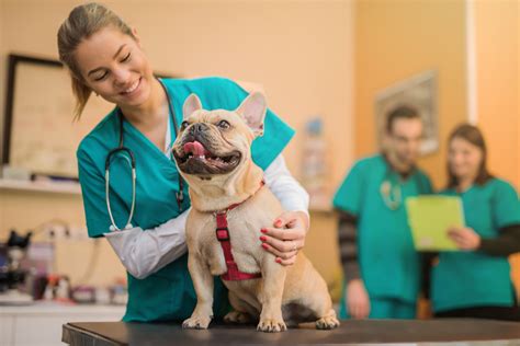 Vet Services .